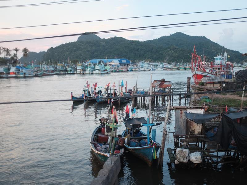 Khu vực xung quanh