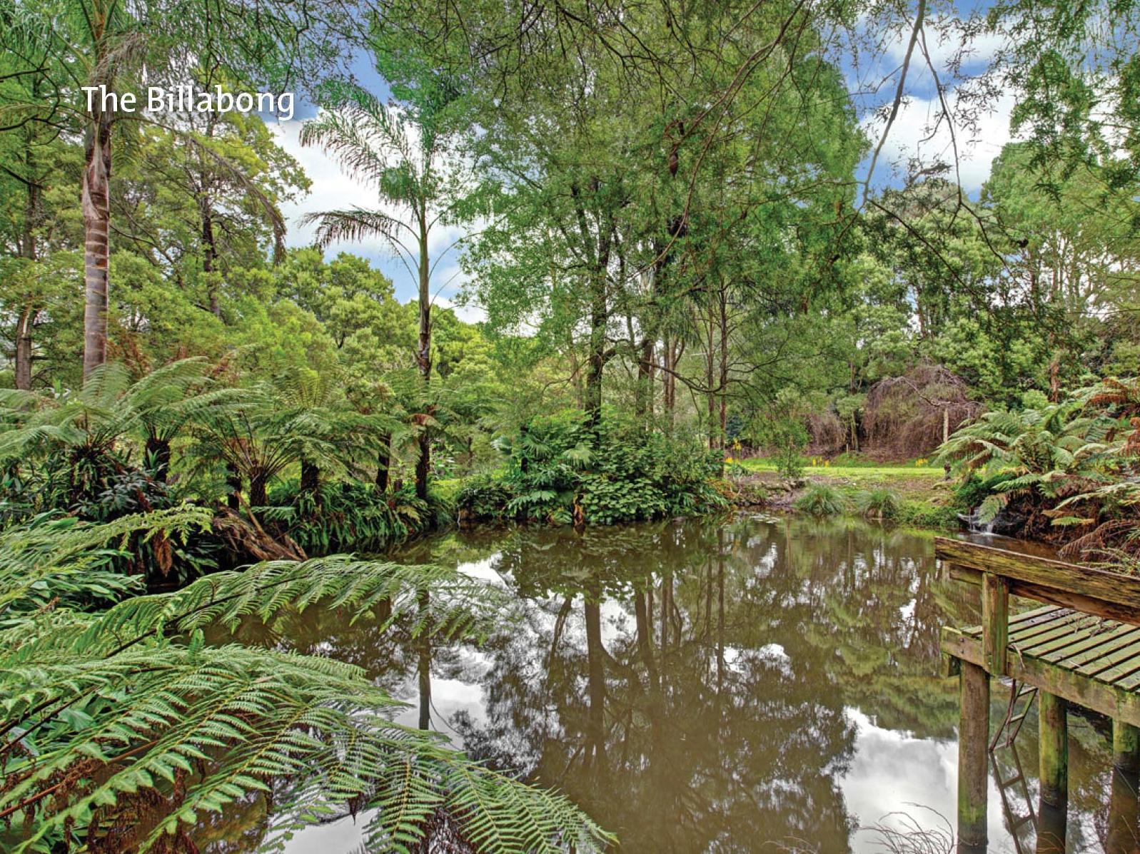 Khu vực xung quanh