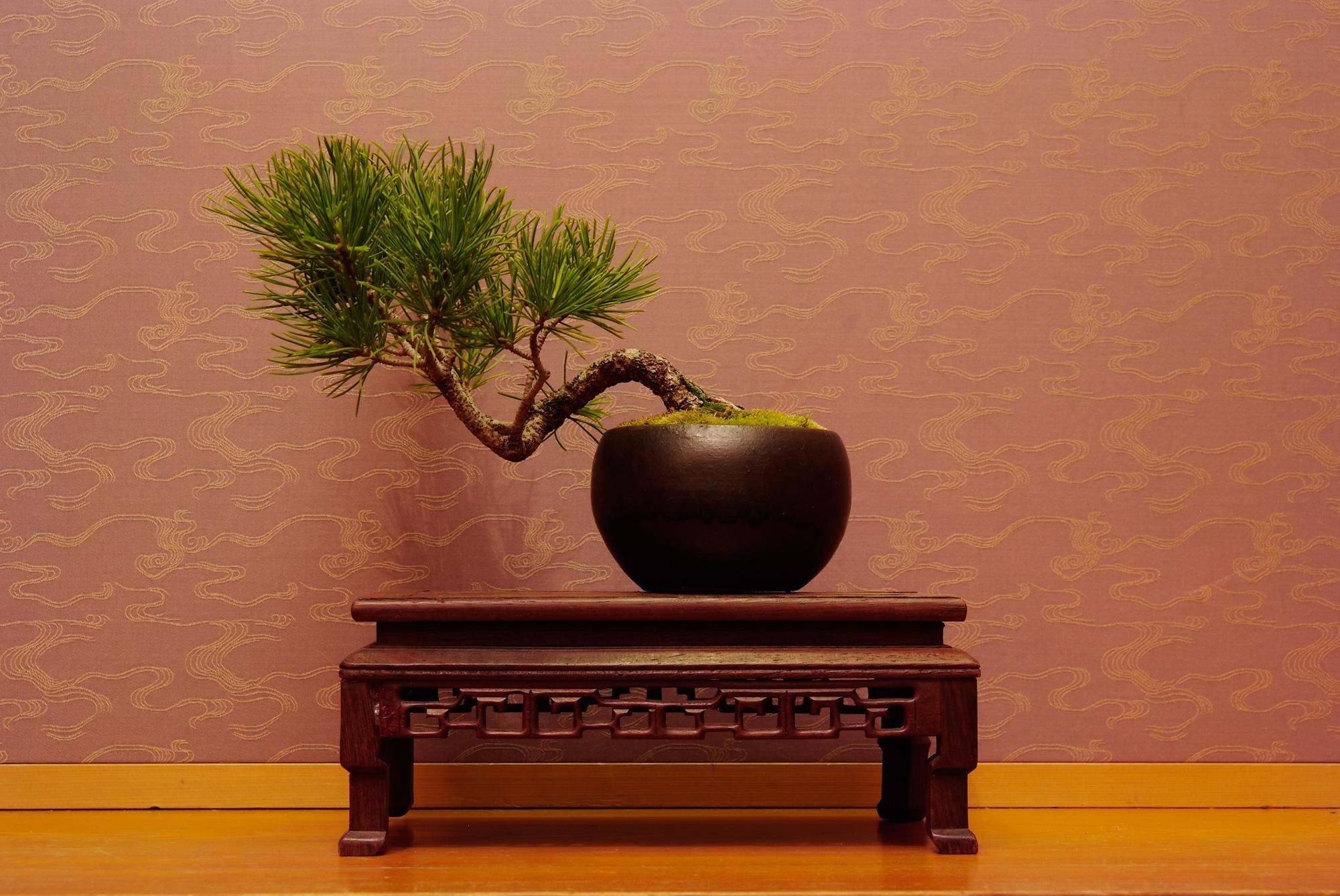 Nội thất khách sạn