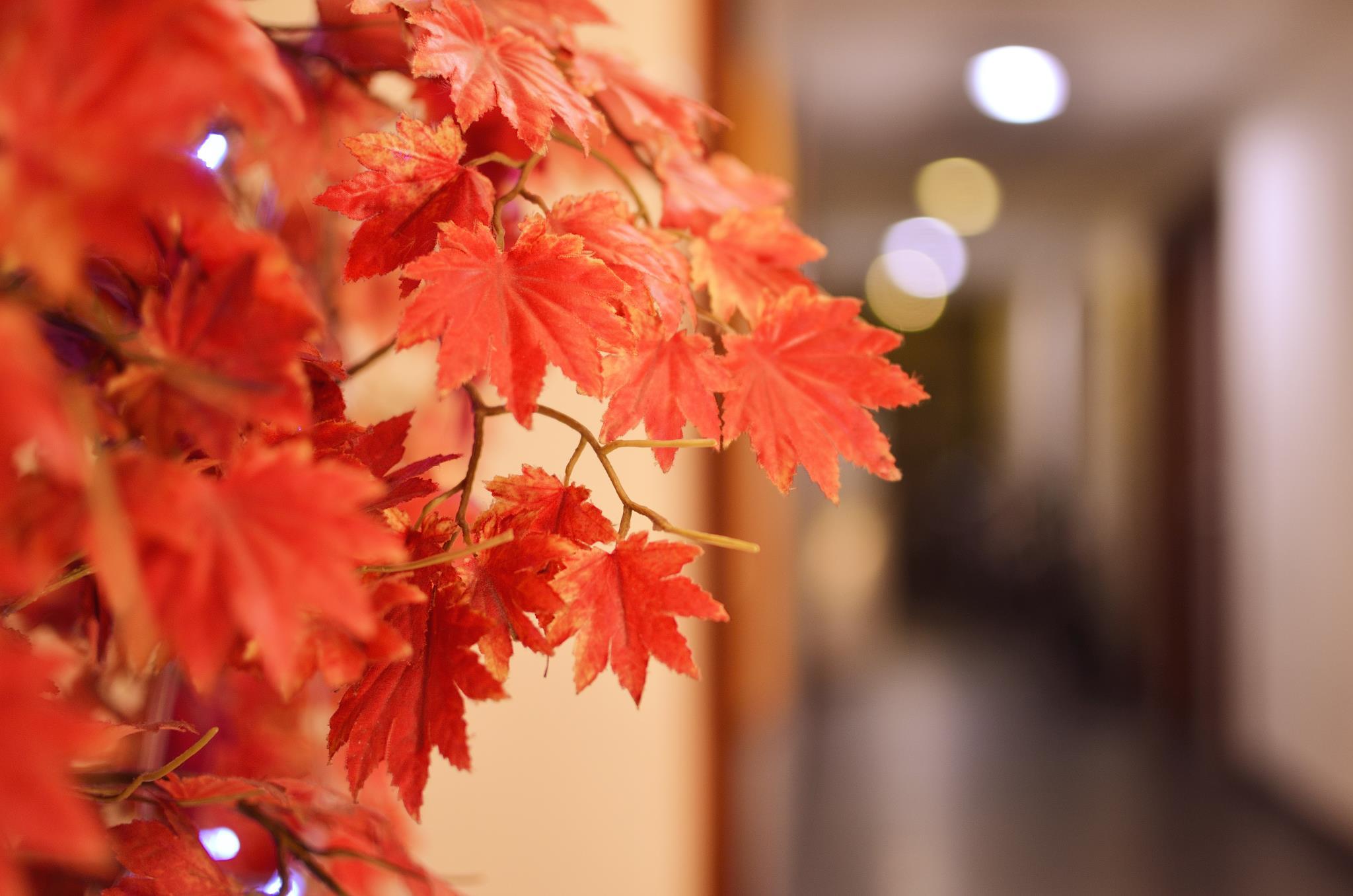 Nội thất khách sạn