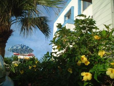 Ngoại cảnh khách sạn