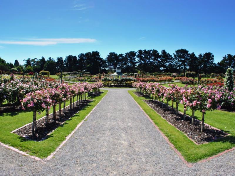 Khu vực xung quanh