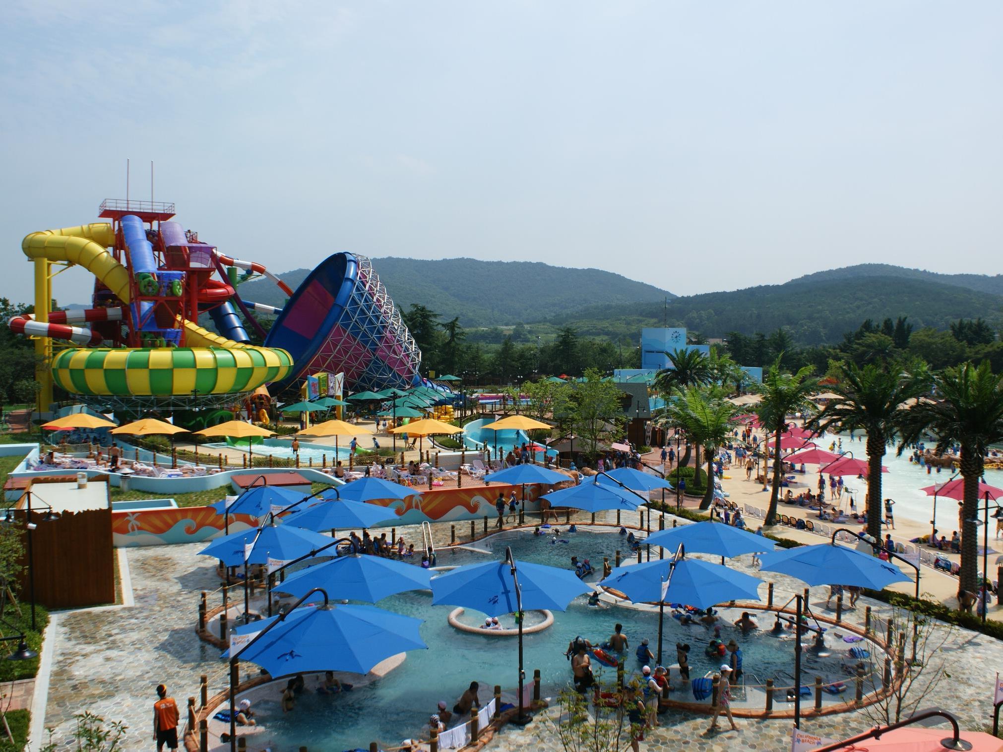 Thể thao và hoạt động