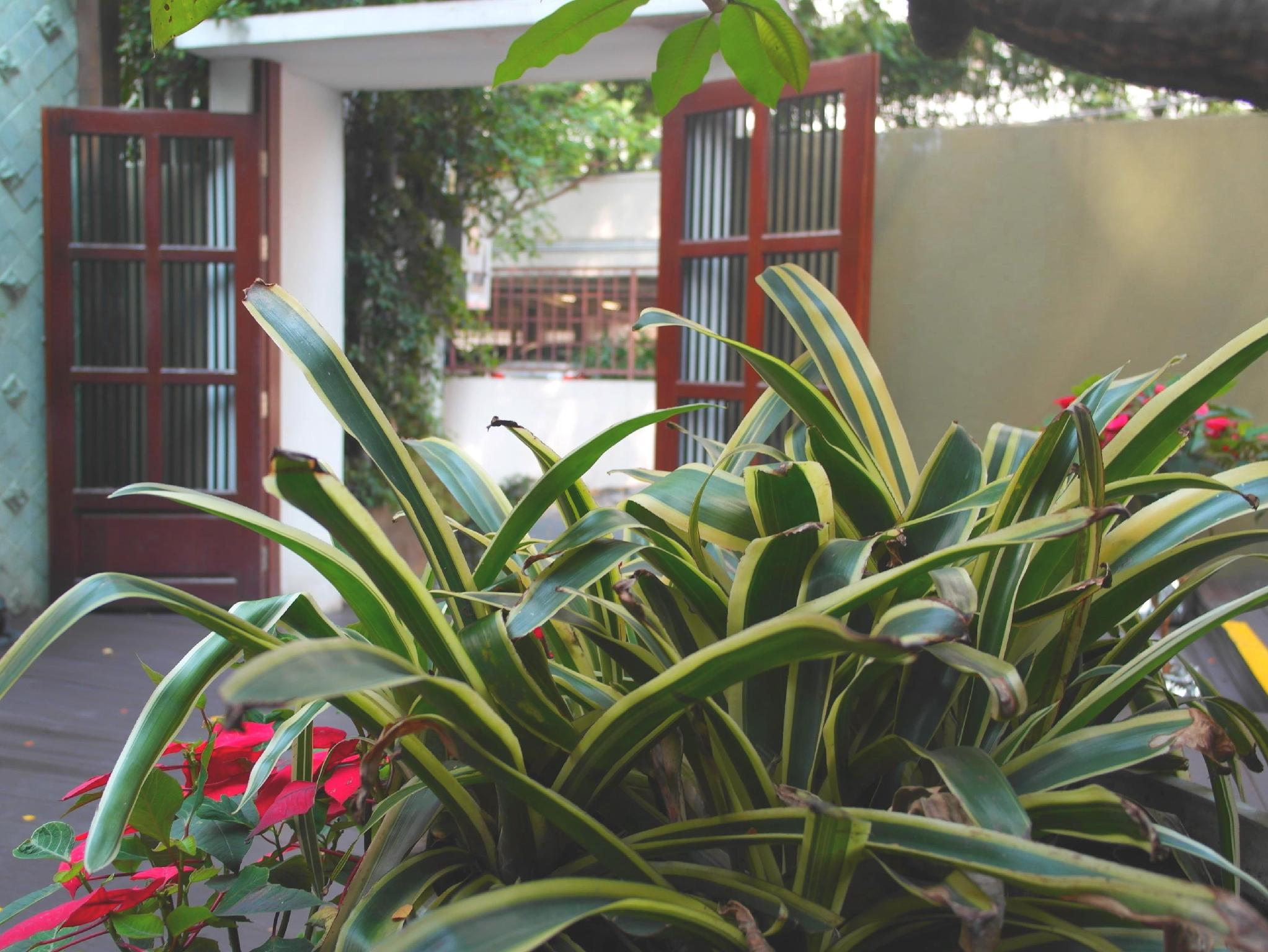 Ngoại cảnh khách sạn