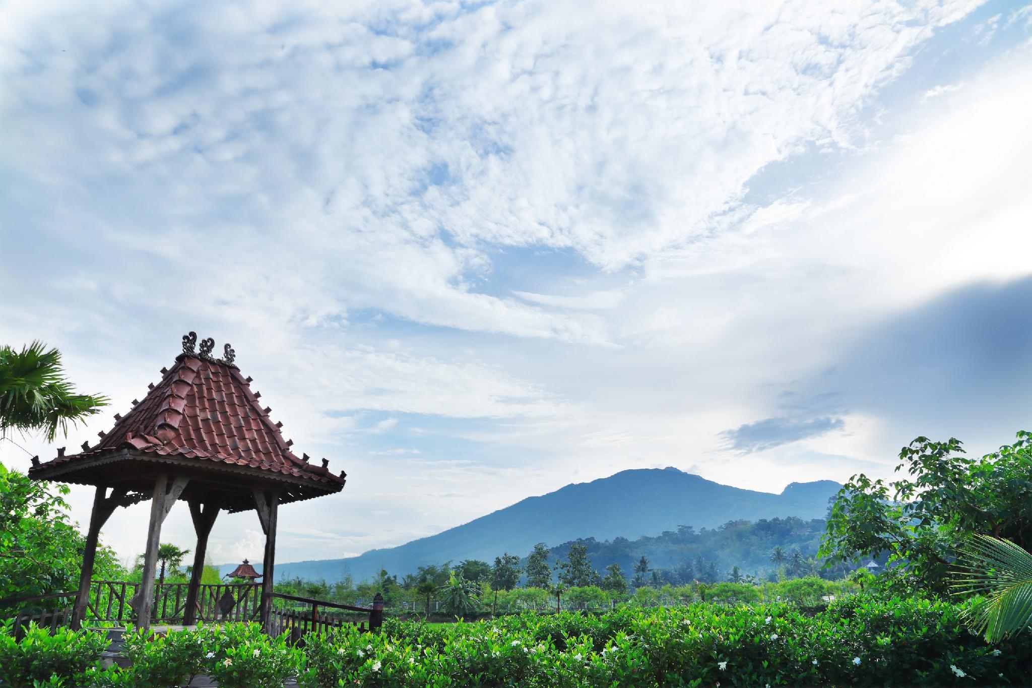 Nơi tham quan gần đây