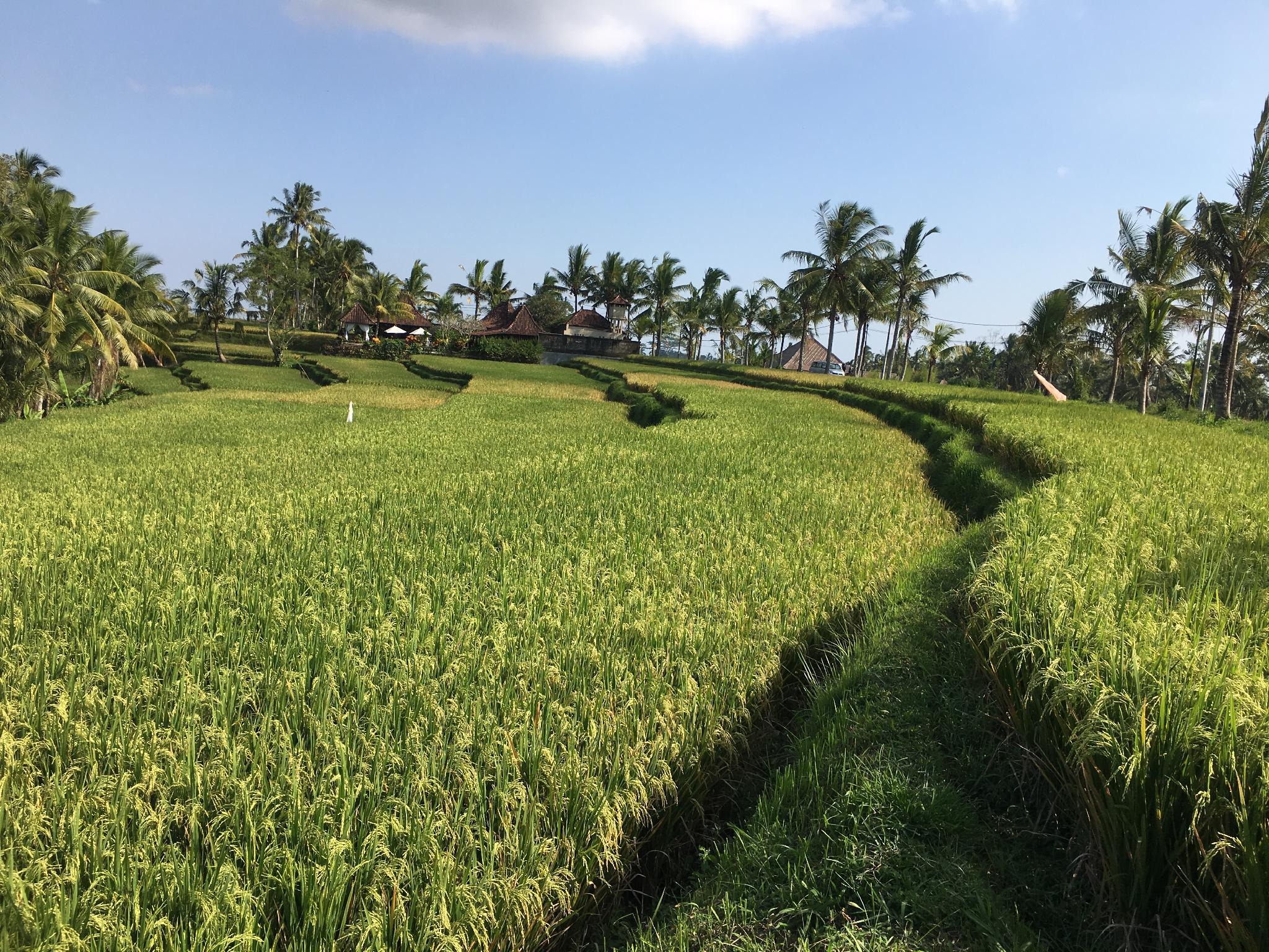 Khu vực xung quanh