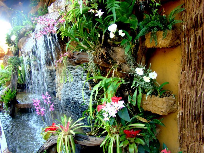 Khu vực xung quanh