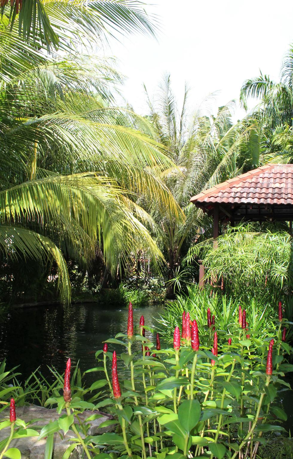 Ban công/sân hiên