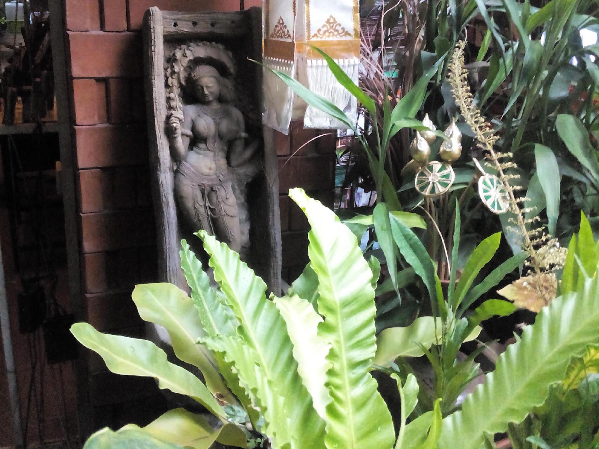 Khu vực xung quanh