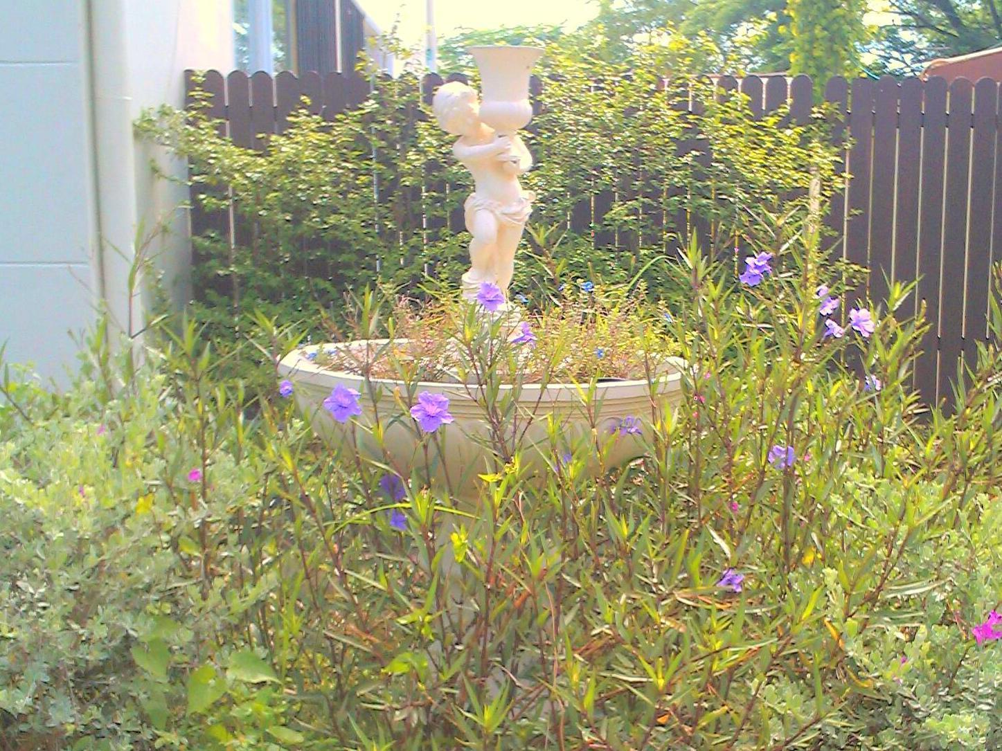 Khu vực xung quanh