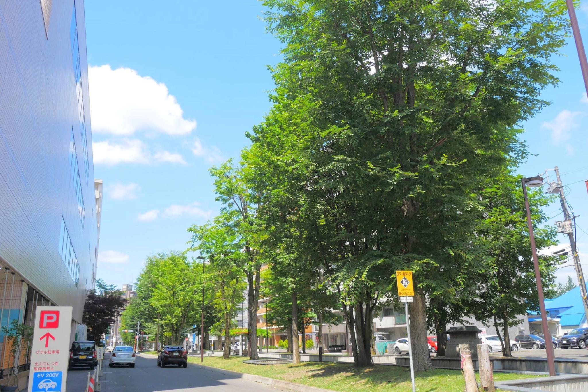 Khu vực xung quanh