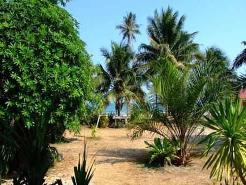 Khu vực xung quanh