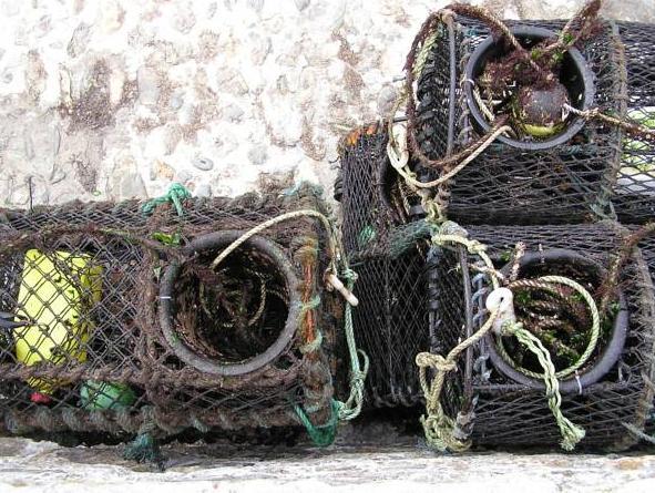 Nội thất khách sạn