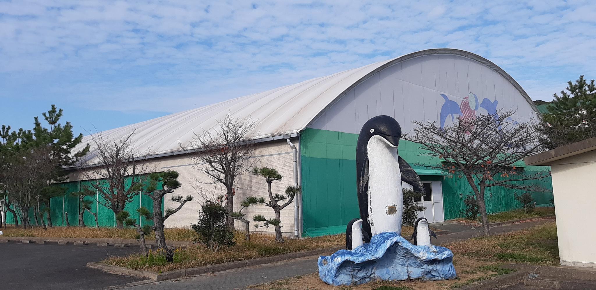 Thể thao và hoạt động