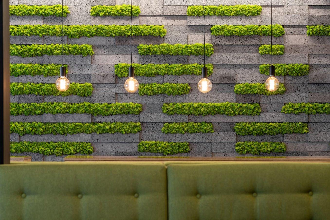 Phòng chờ chung/khu vực TV