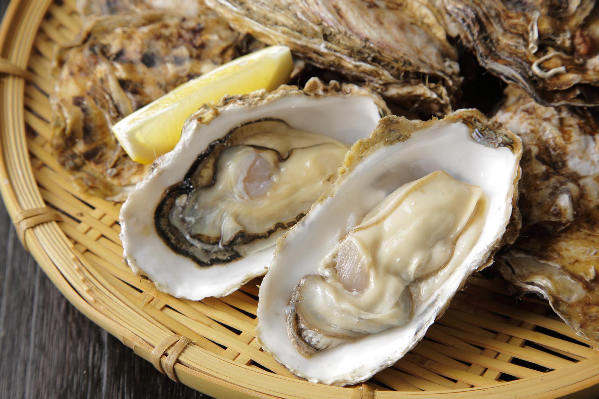 Nơi tham quan gần đây