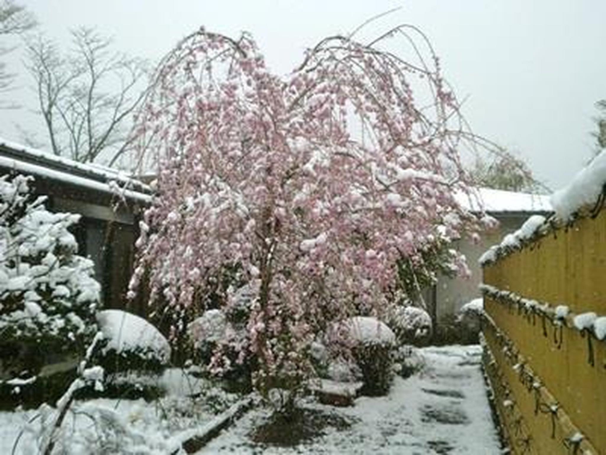 Khu vực xung quanh