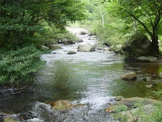 Khu vực xung quanh