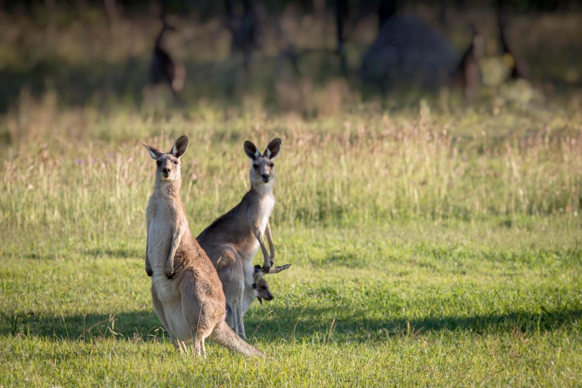 Khu vực xung quanh