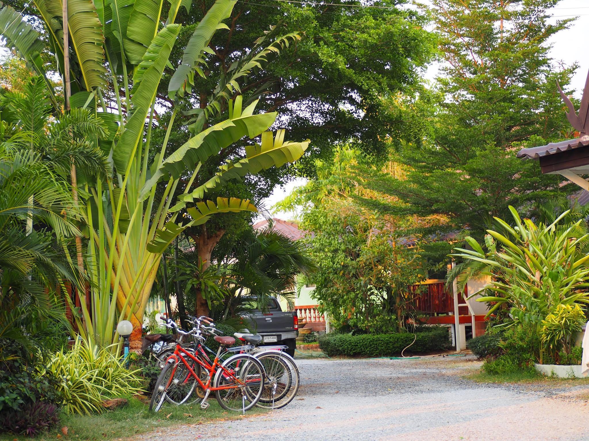 Khu vực xung quanh