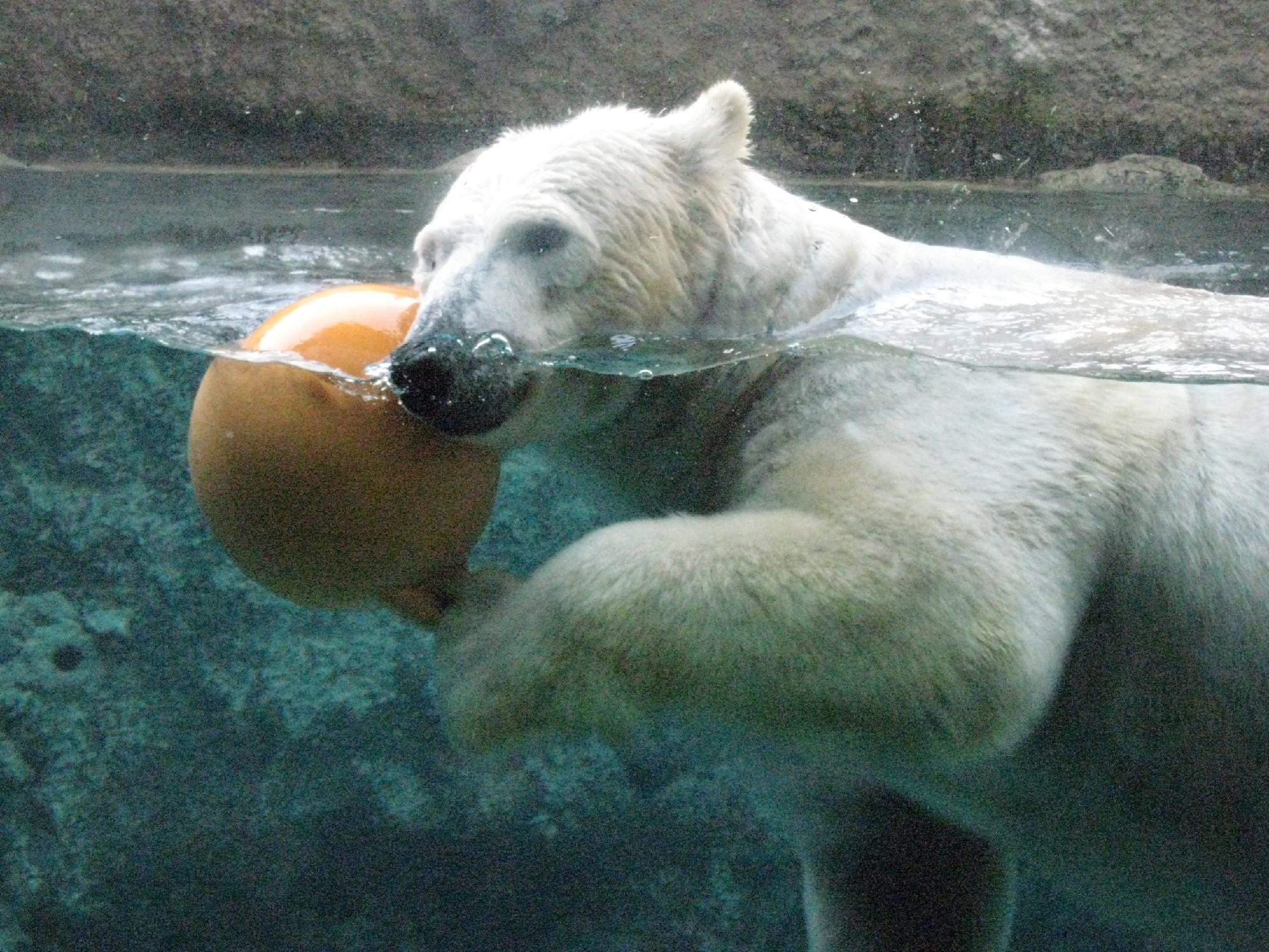 Nơi tham quan gần đây