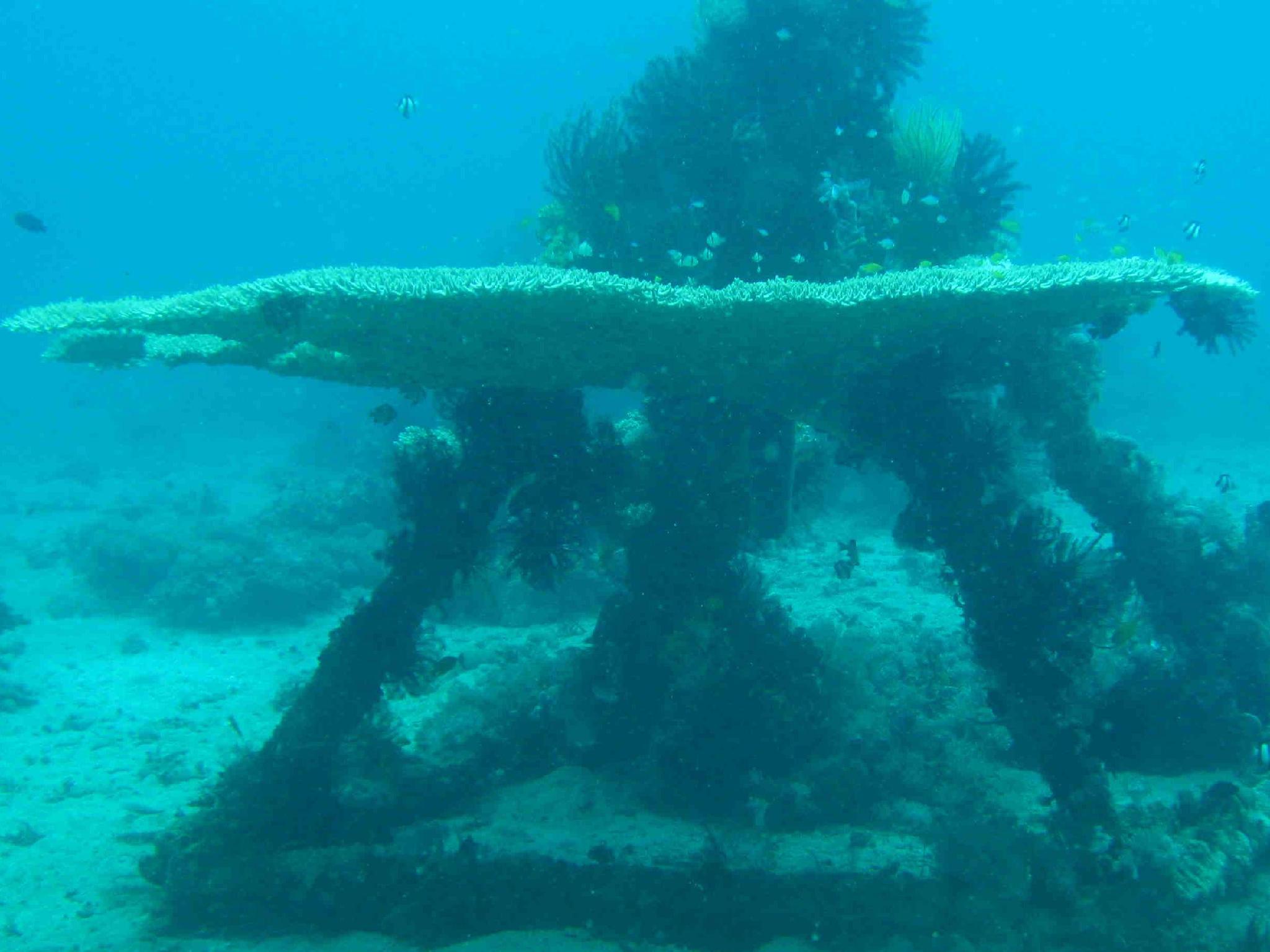 Khu vực xung quanh