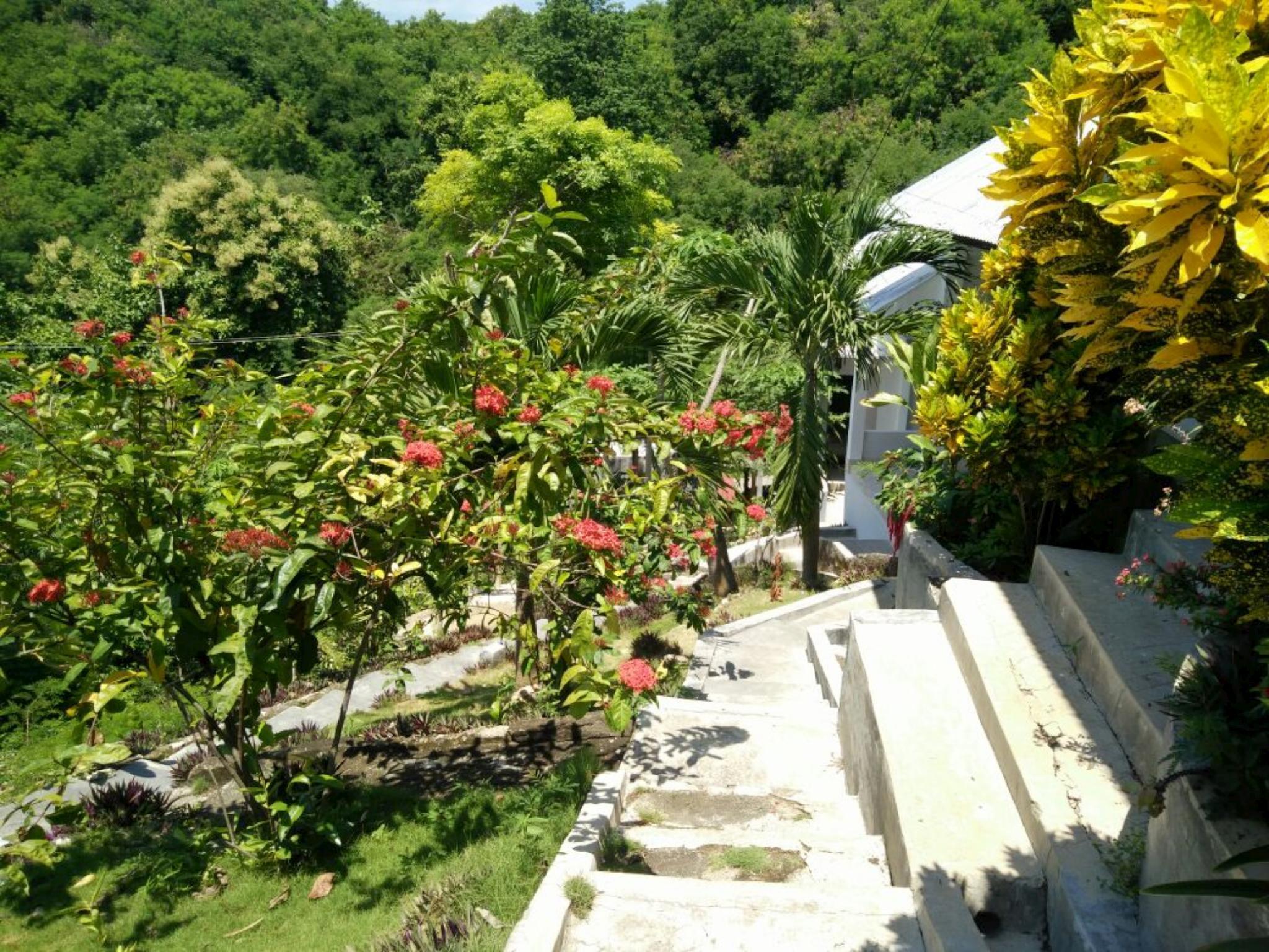 Khu vực xung quanh