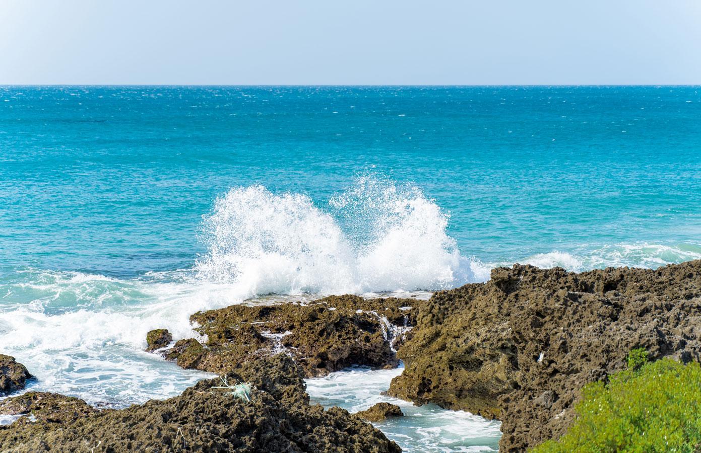 Khu vực xung quanh