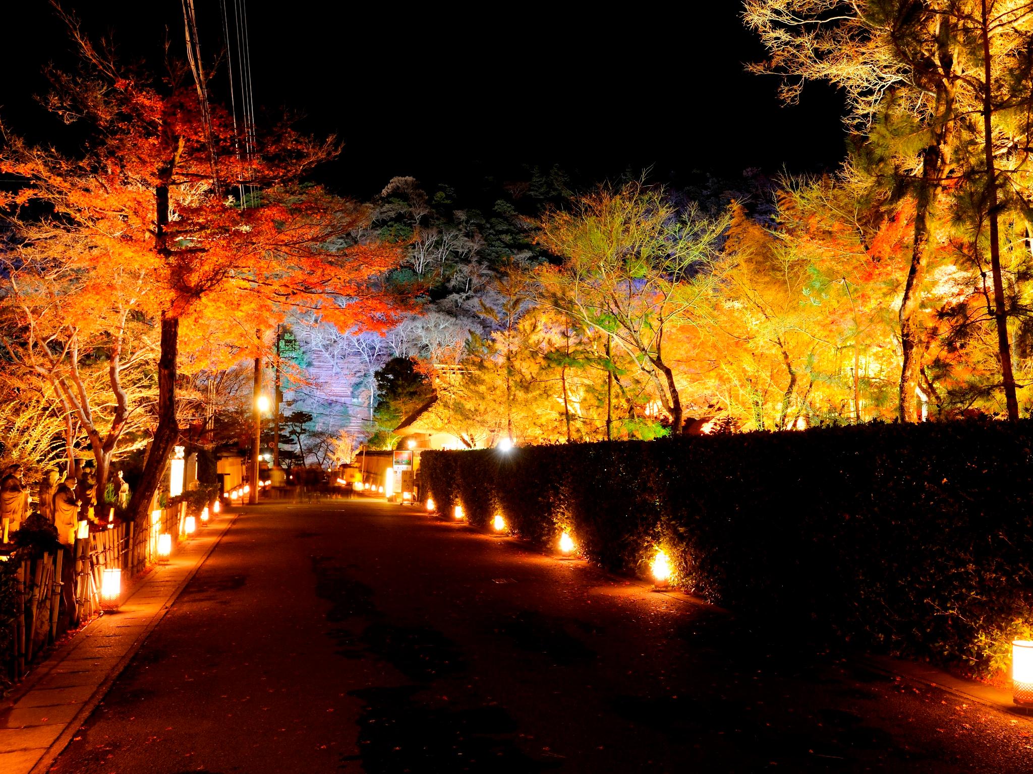 Nơi tham quan gần đây