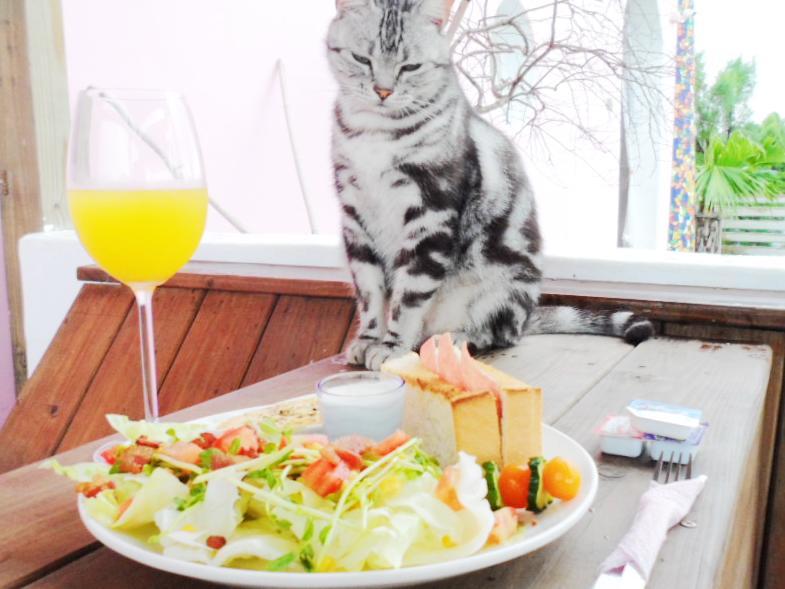 Đồ ăn và thức uống