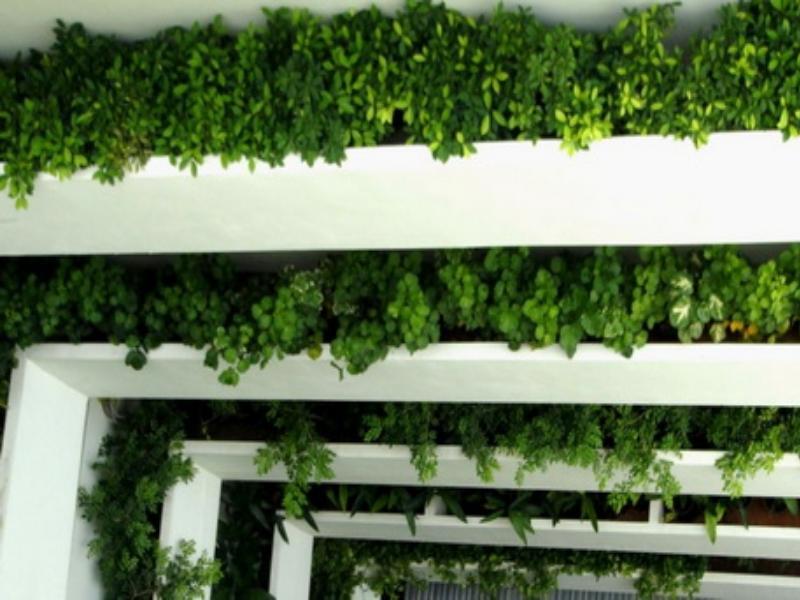 Khu vực xung quanh