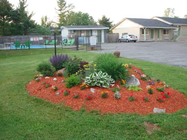 Khu vực xung quanh