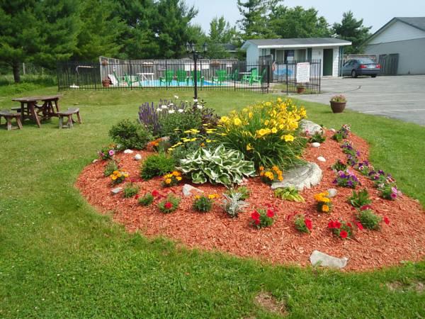 Khu vực xung quanh