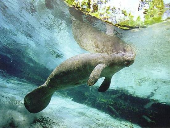 Khu vực xung quanh