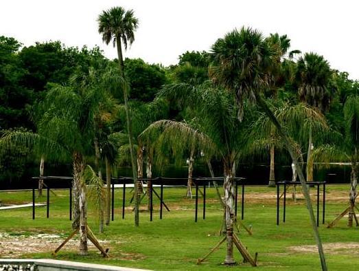 Khu vực xung quanh