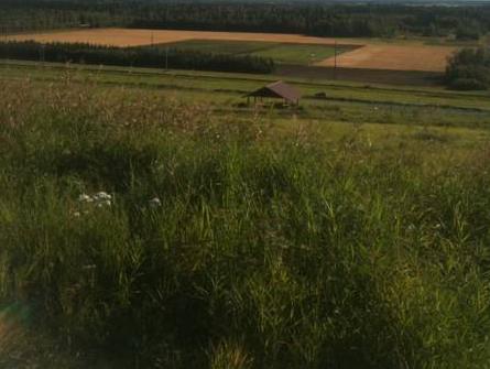 Khu vực xung quanh