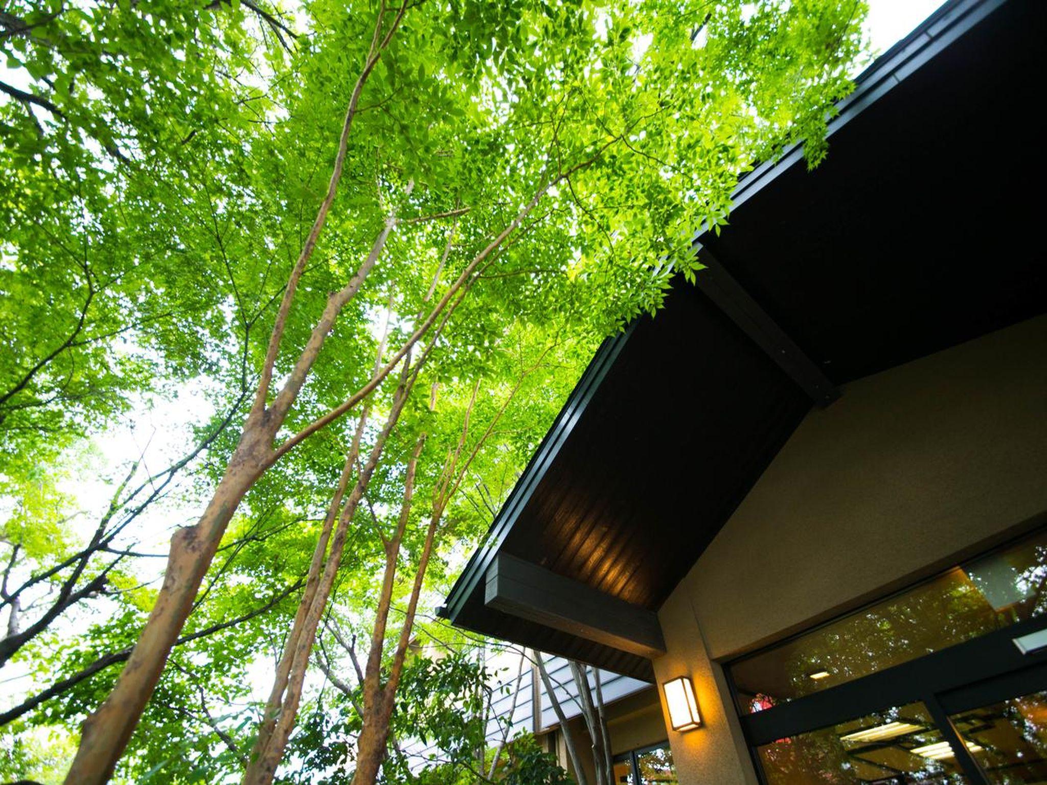 Nội thất khách sạn