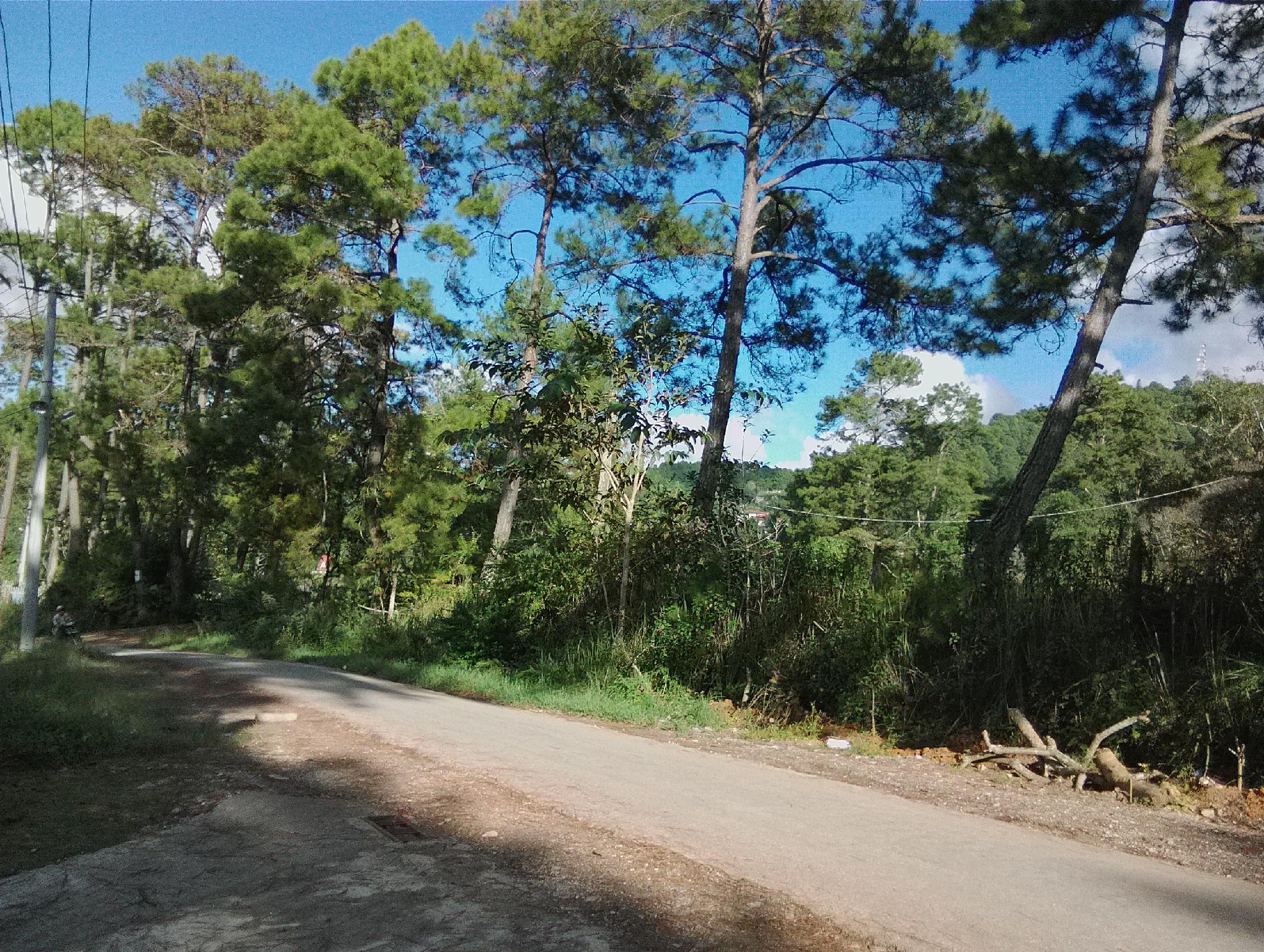 Khu vực xung quanh