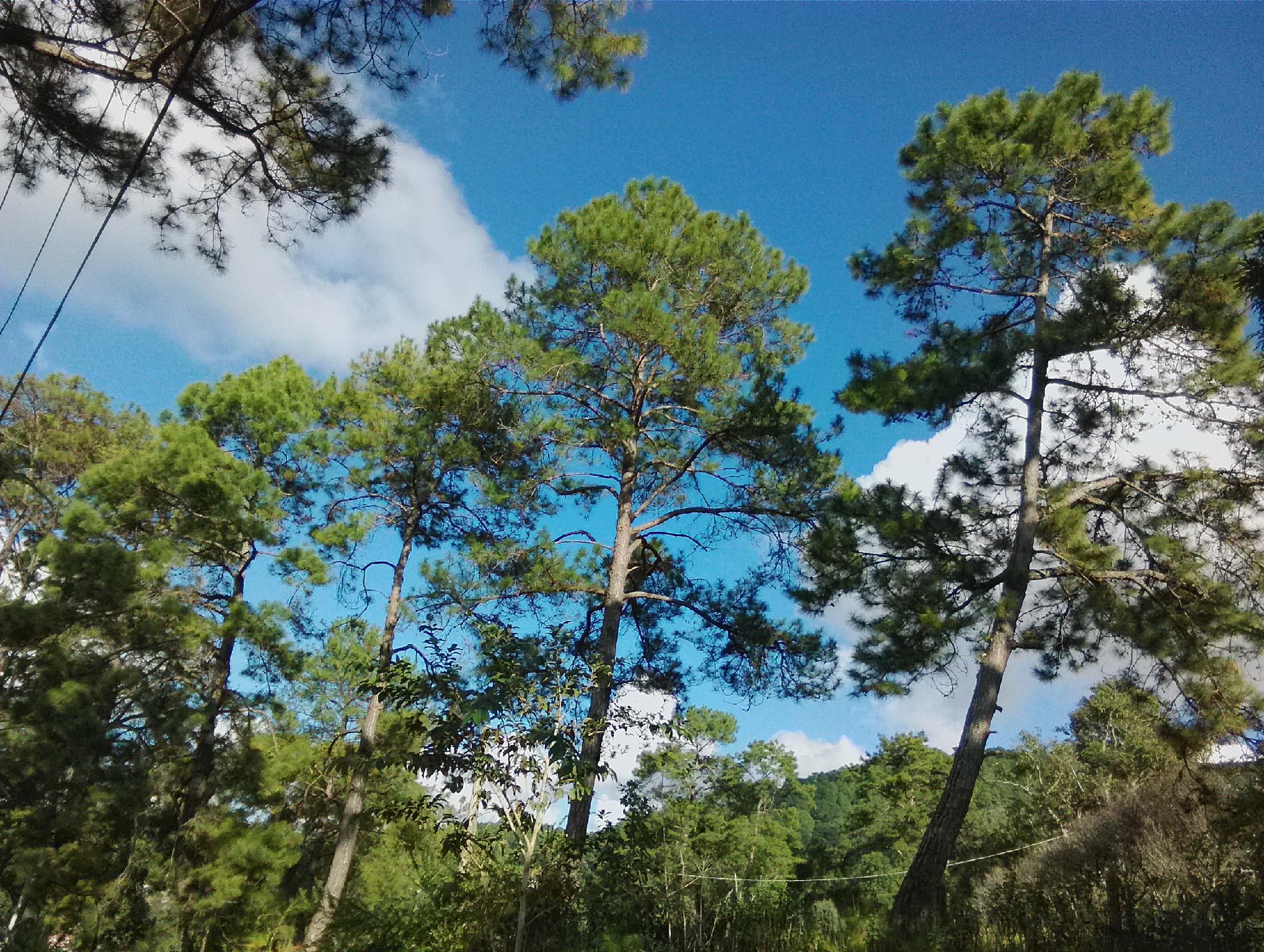 Khu vực xung quanh