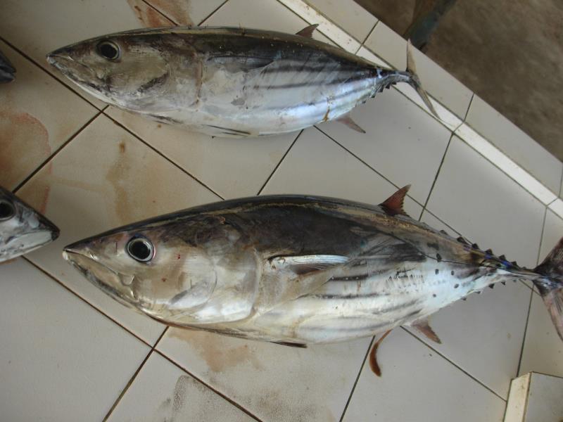 Nội thất khách sạn