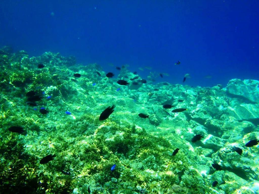 Nơi tham quan gần đây