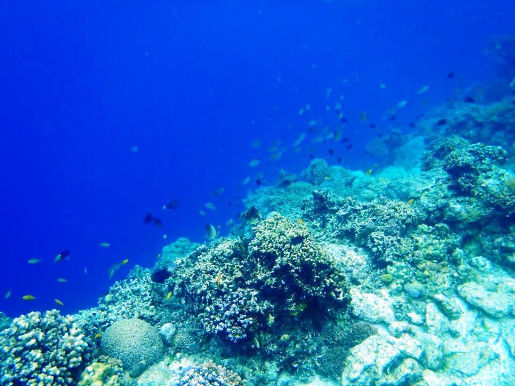 Nơi tham quan gần đây