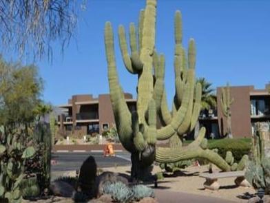 Ngoại cảnh khách sạn