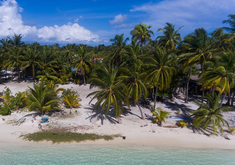 Khu vực xung quanh