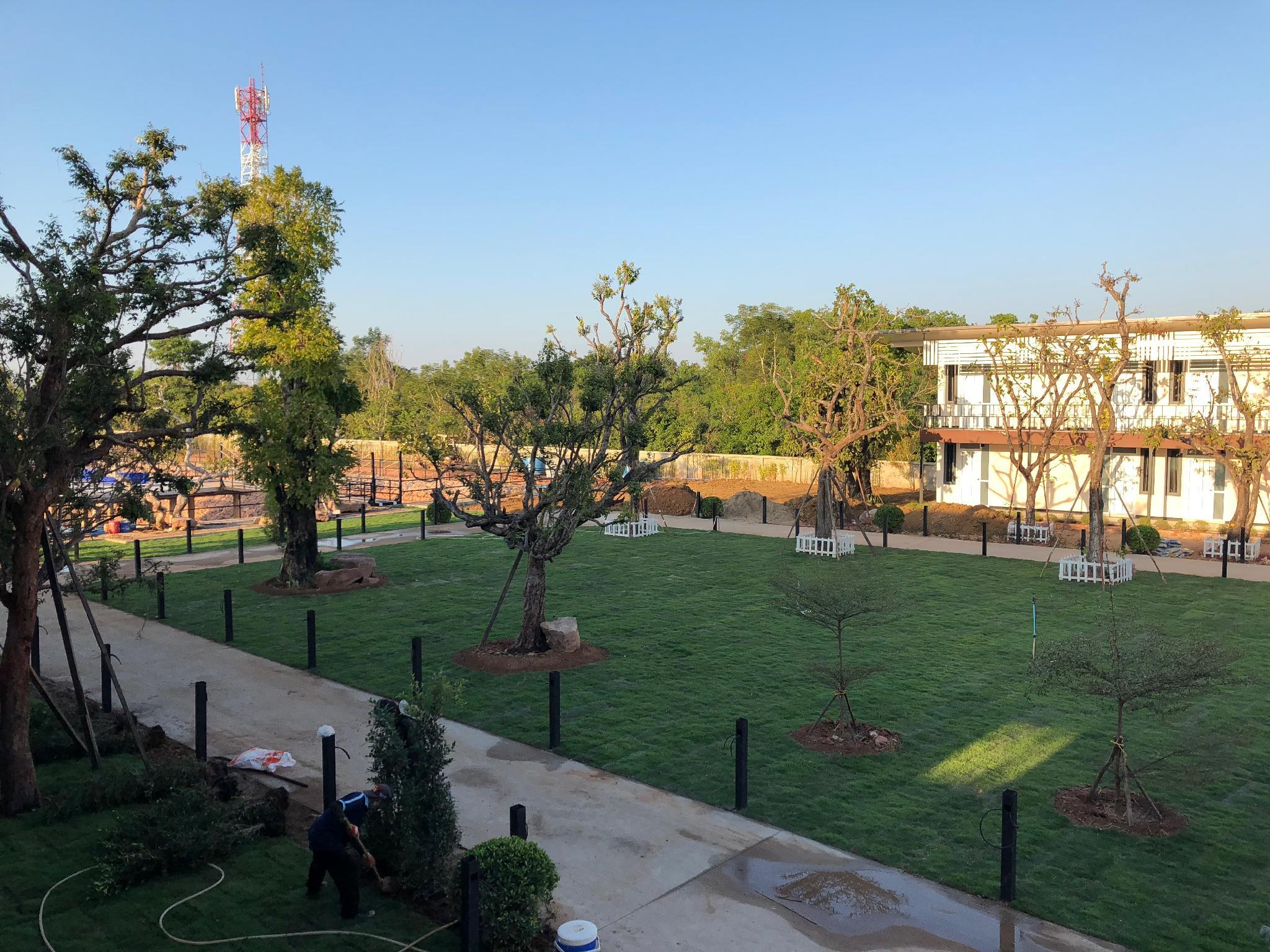 Khu vực xung quanh