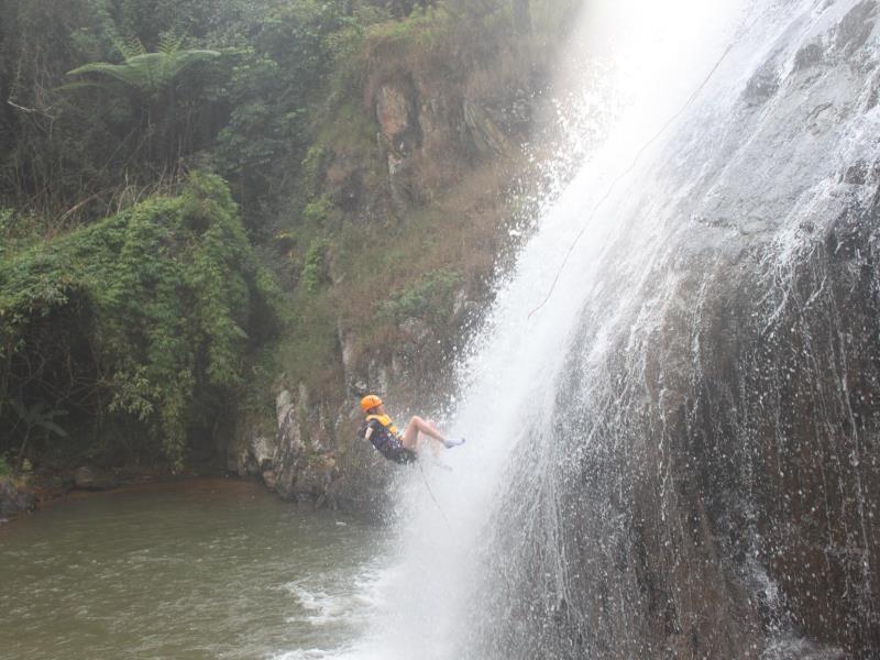 Thể thao và hoạt động