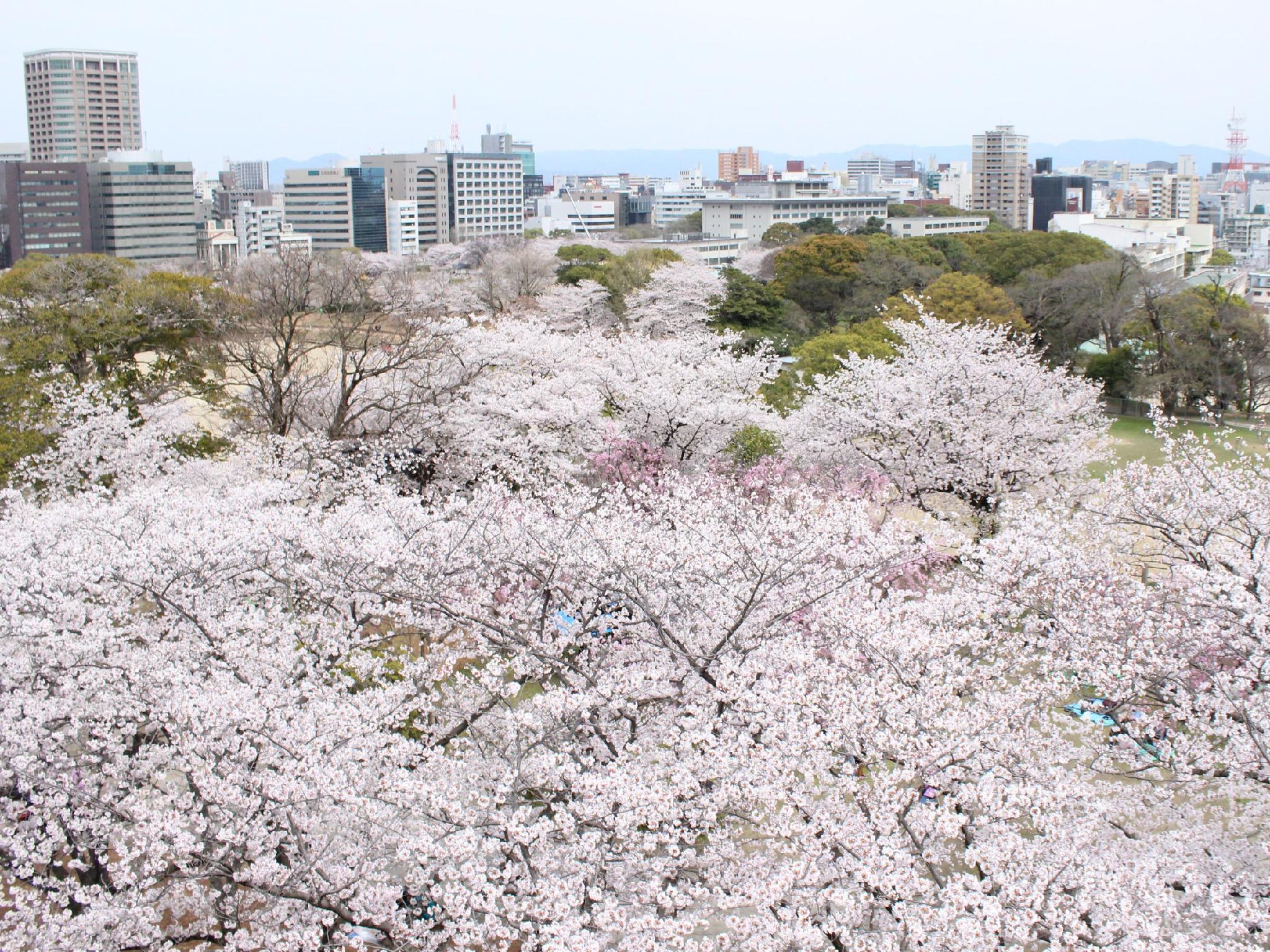 Nơi tham quan gần đây