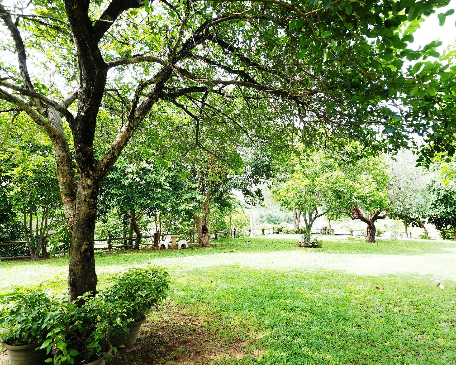 Khu vực xung quanh