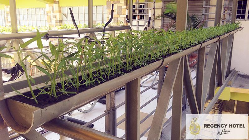 Ngoại cảnh khách sạn