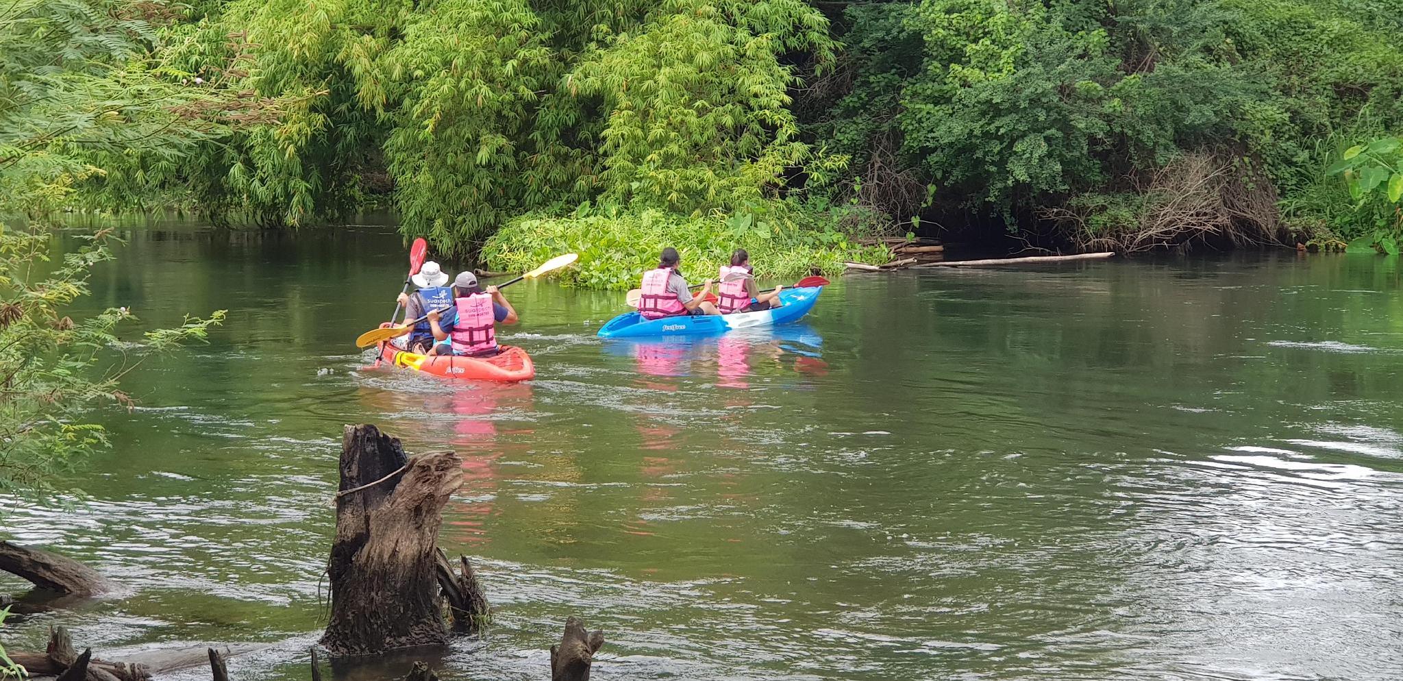 Thể thao và hoạt động